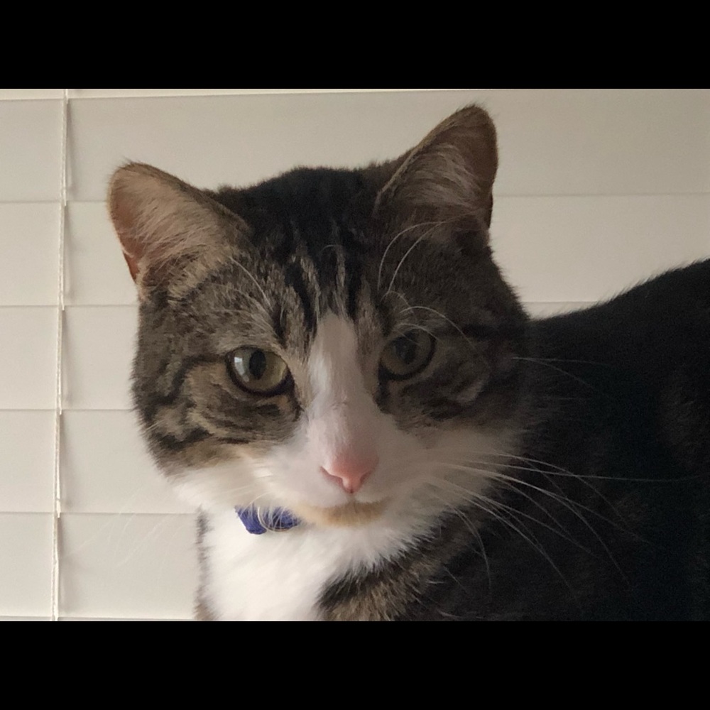 Meet your Posher, Lori